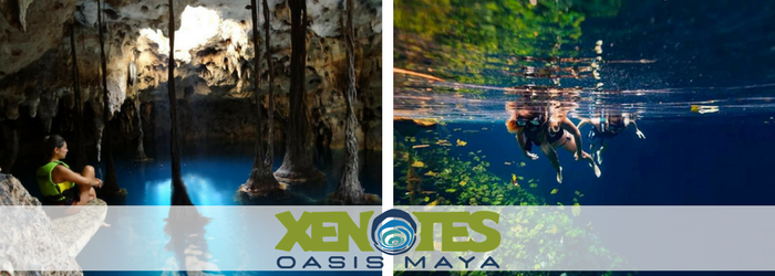 xenotes-puerto-morelos