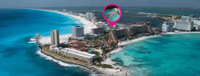 Swim with Dolphins at the Hotel Zone of Cancun