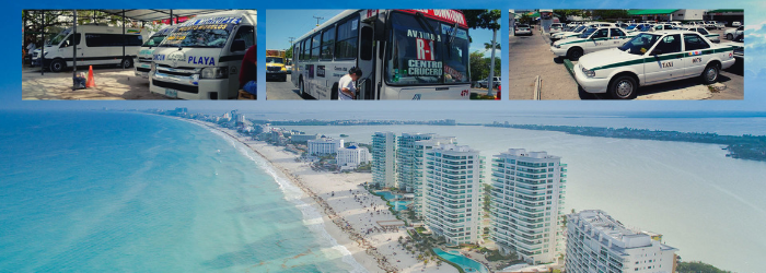 Delphinus Cancun public transportation tips