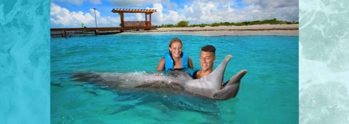 Delphinus weather in Cancun and Riviera Maya
