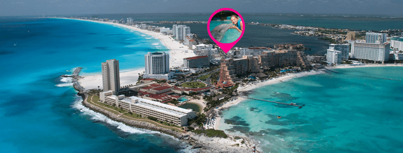 Delphinus nada con delfines en Cancun zona hotelera