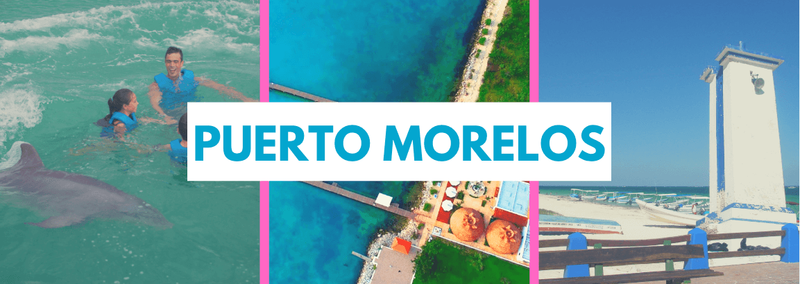 5 razones de elegir Puerto Morelos para nadar con delfines