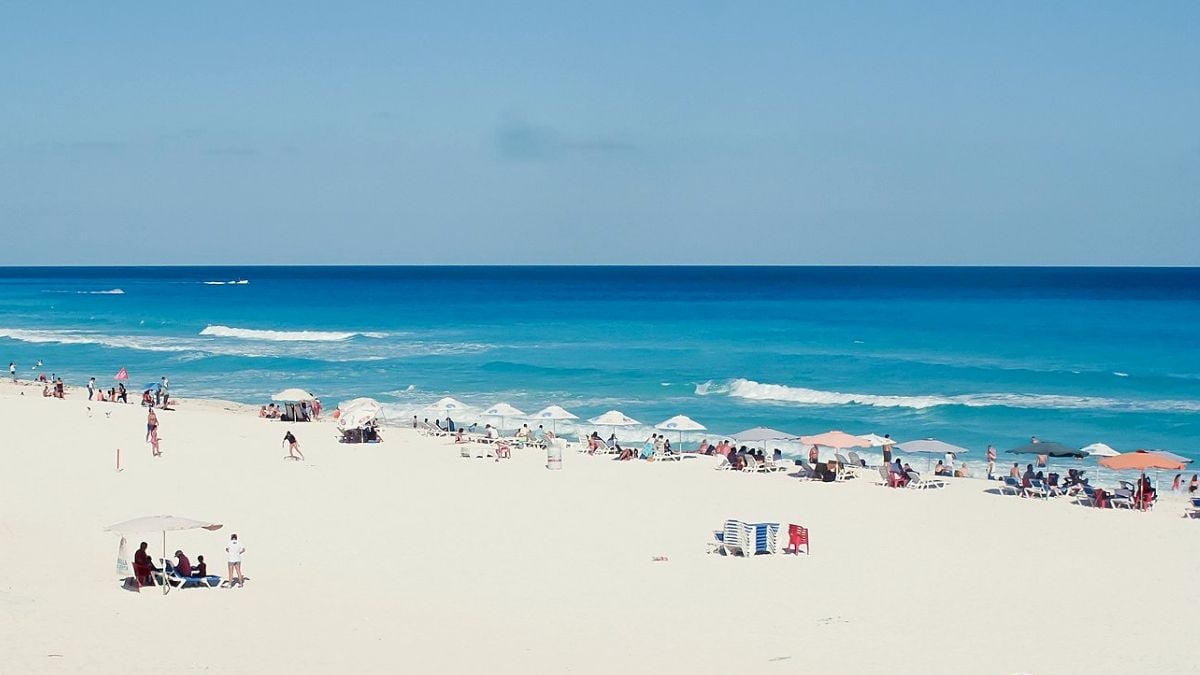 Delphinus playas publicas perfectas Cancun