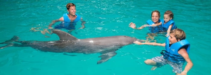 Swimming with dolphins in Cancún