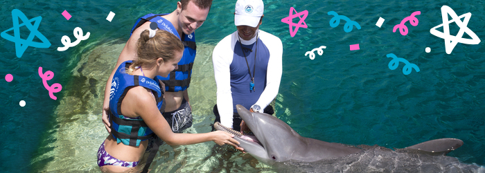 Have a wonderful first swim with dolphins at Delphinus!