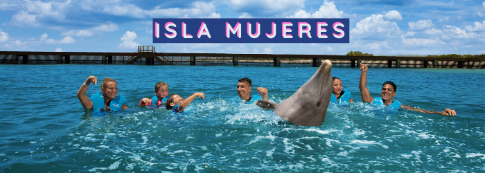 Nada con delfines si estás de vacaciones en Isla Mujeres