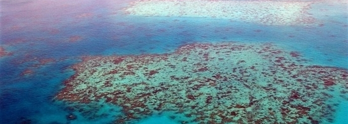 ¿Cambio Climático o Calentamiento Global?