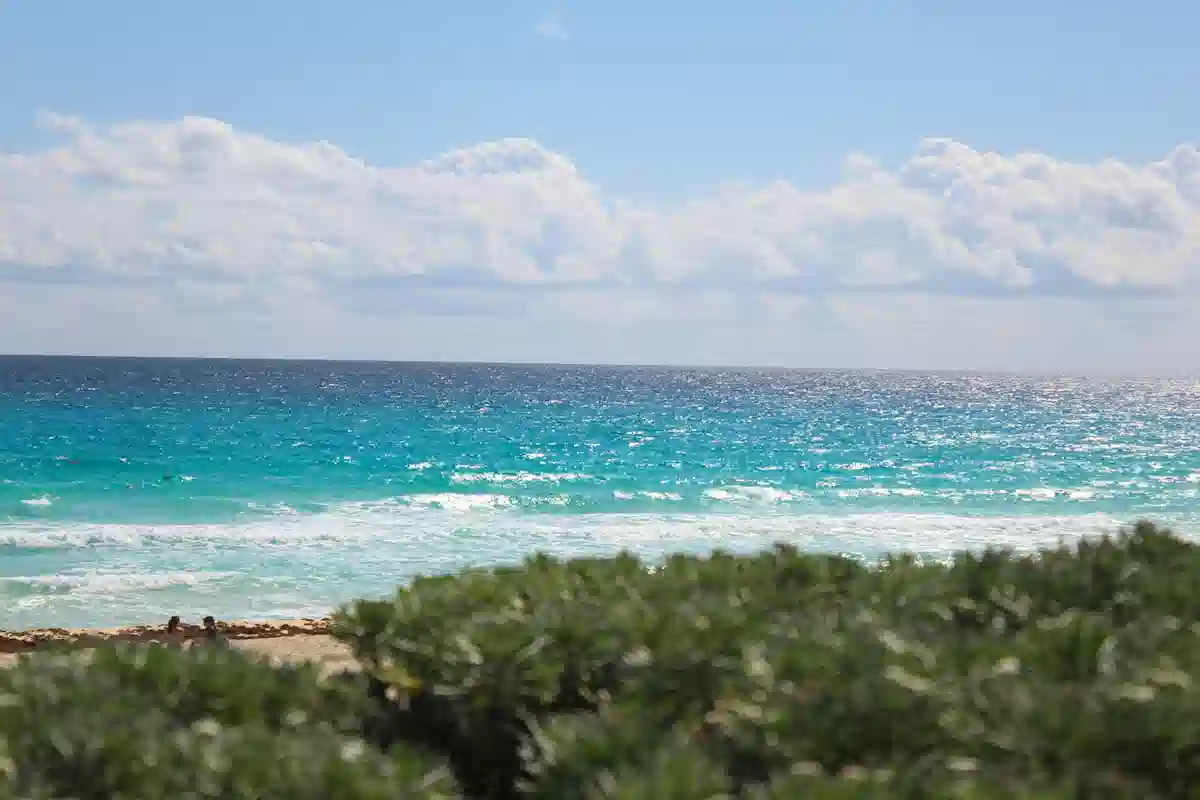 Discover Puerto Morelos: A Quiet, Ecological Village in Riviera Maya