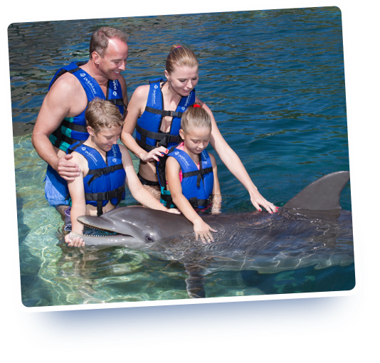 Swim with Dolphins in Cancun Starting Price $349.30/per Person