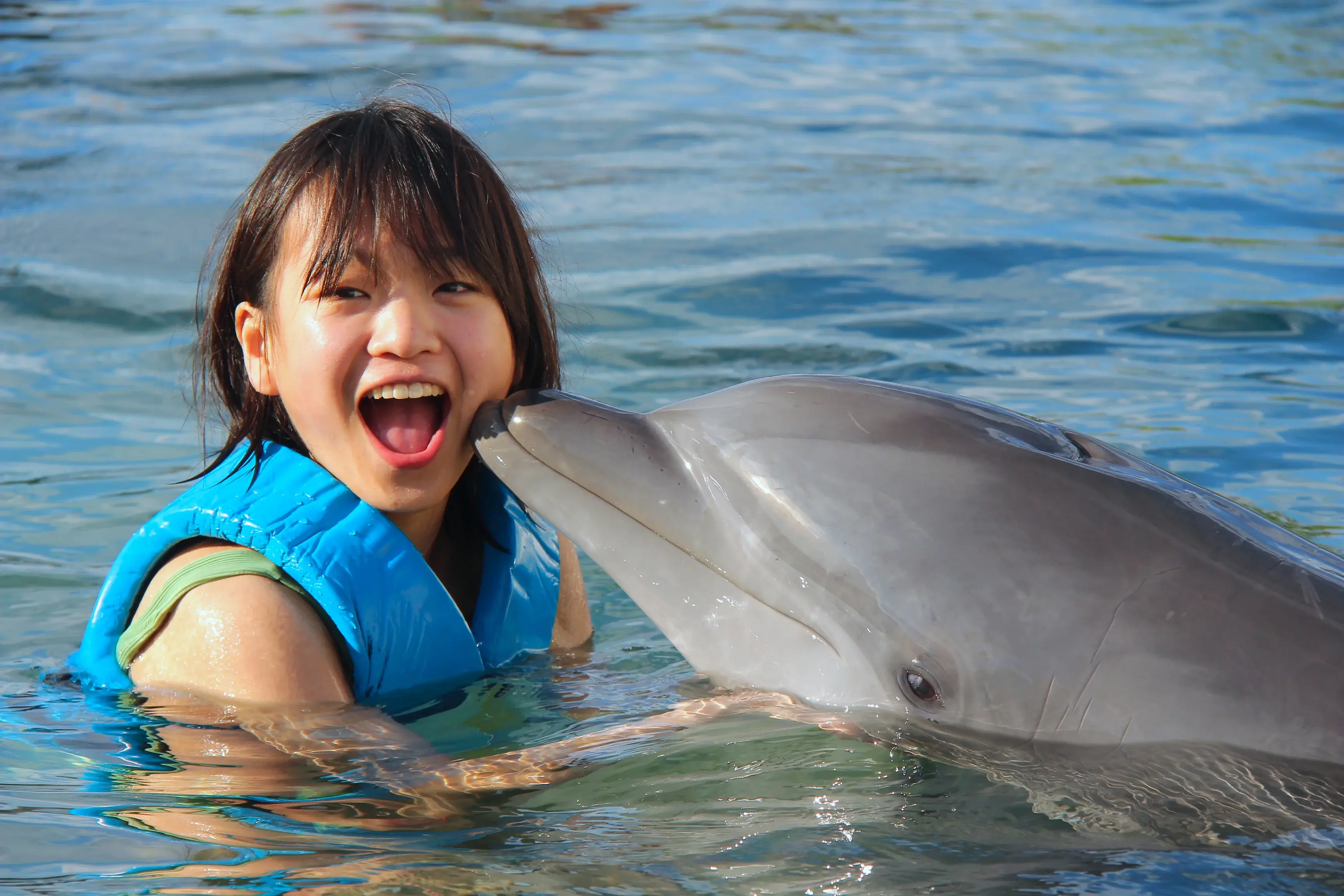 ¡Lee esto antes de un nado con delfines en Cancún!