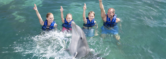 nadar_con_delfines_y_personalidad_-_Delphinus.png