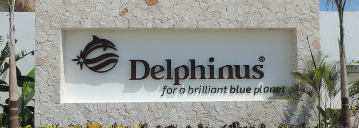 ¡Así se trabaja en Delphinus!