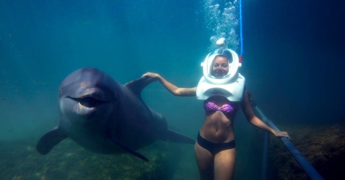 swimming with dolphins in the Riviera Maya México 