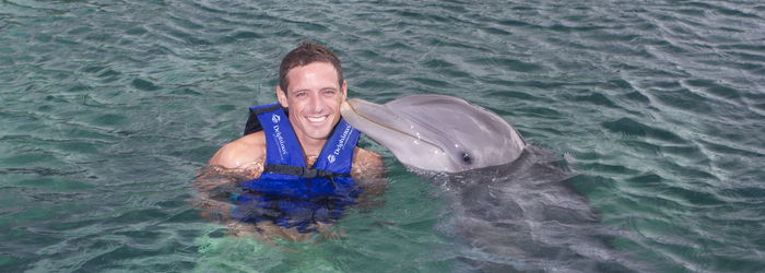 que_hacer_este_15_de_septiembre_-_nado_con_delfines_en_Cancun.png