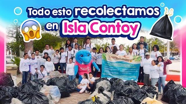 Beach and mangroves cleaning program