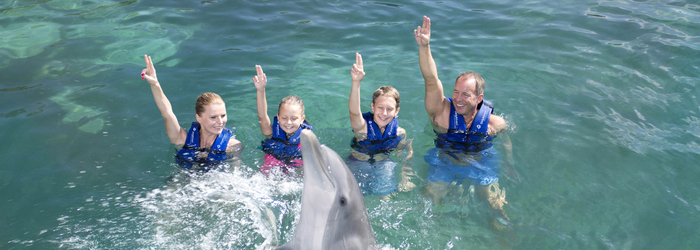 swim-with-dolphins-in-cancun-families