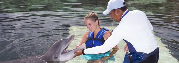[Infografía] 5 tips para antes de nadar con delfines