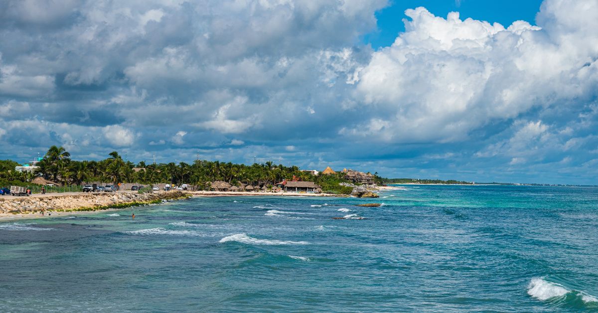 swimming with dolphins in Tulum 