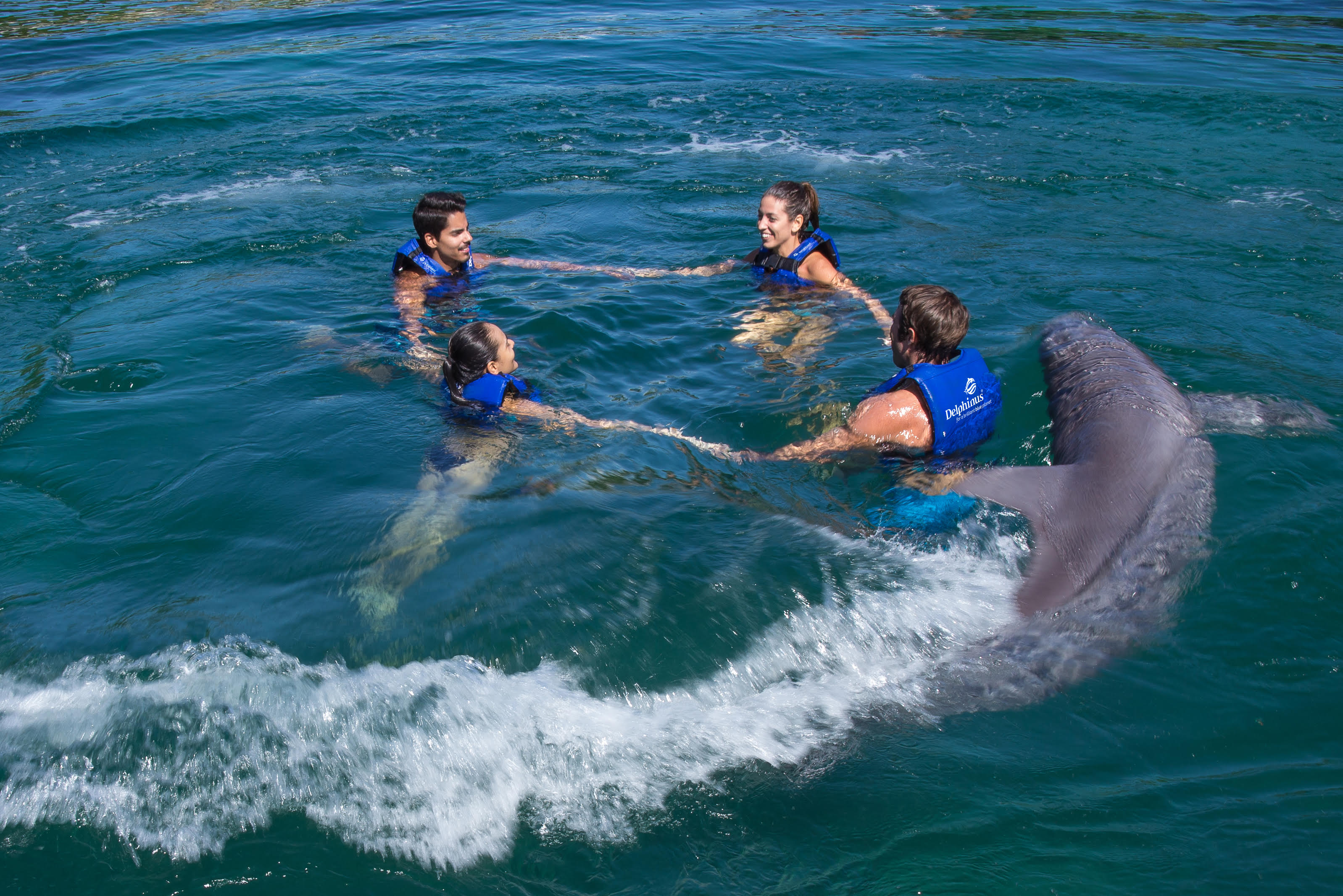 ¿Todos los nados con delfines son iguales? Lo que debes saber antes de elegir en Cancún y Riviera Maya